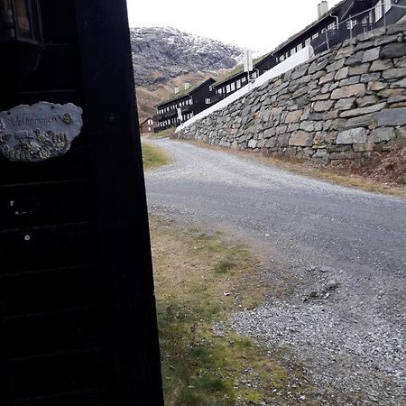 Apartement Roldal Alpingrend Exteriör bild